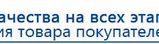 Электроды Скэнар -  двойной овал 55х90 мм купить в Саратове, Электроды Скэнар купить в Саратове, Нейродэнс ПКМ официальный сайт - denasdevice.ru